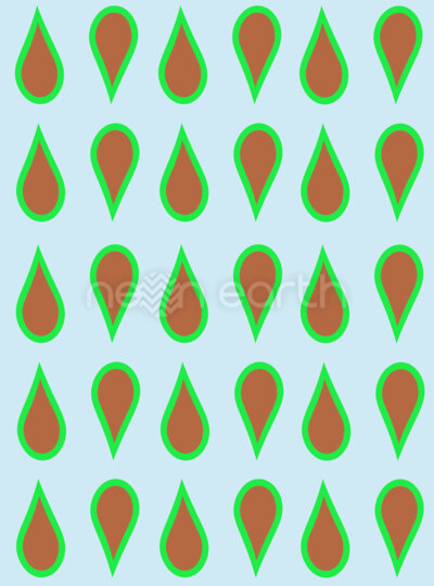 Chocolate Mint Drops