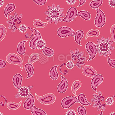 A Paisley To Remember