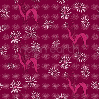 Daisy Flowers Purple