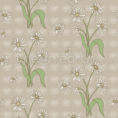 Daisy Flower Beige