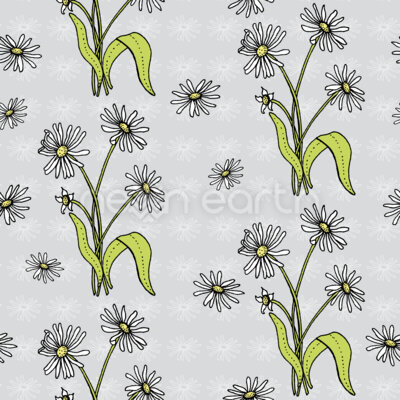 Daisy Flowers Grey