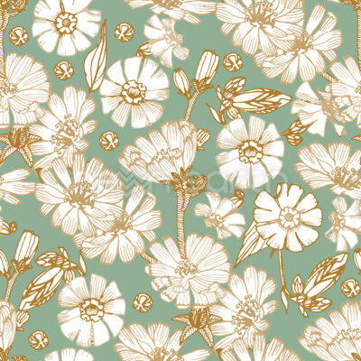 Chicory And Bladder Campion