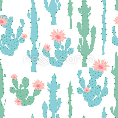 Blooming Cactus