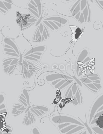 Monochrome Butterflies